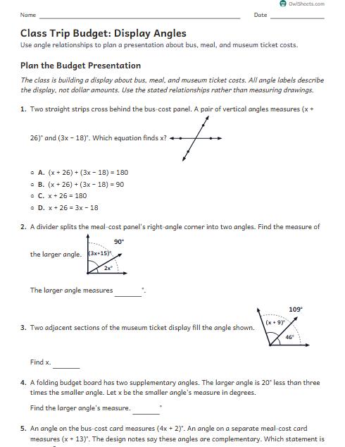 Class Trip Budget: Display Angles worksheet preview
