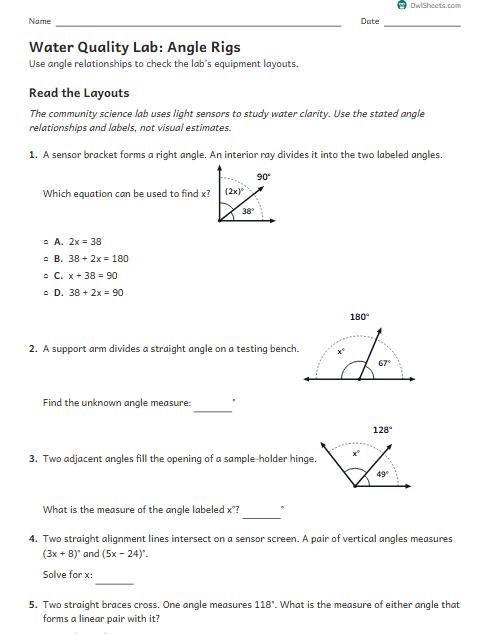 Water Quality Lab: Angle Rigs worksheet preview