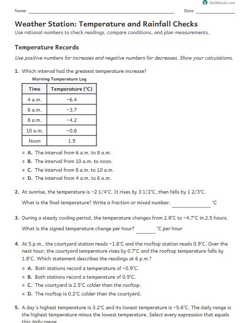 Weather Station: Temperature and Rainfall Checks worksheet preview