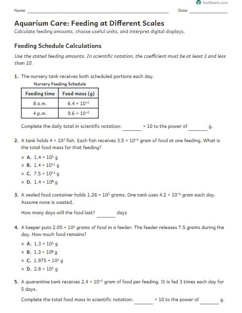 Aquarium Care: Feeding at Different Scales worksheet preview
