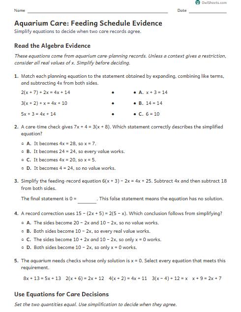 Aquarium Care: Feeding Schedule Evidence worksheet preview