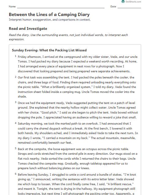 Between the Lines of a Camping Diary worksheet preview