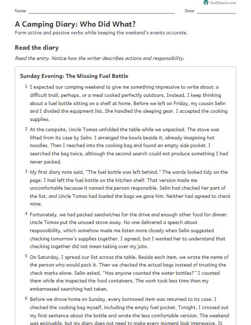 A Camping Diary: Who Did What? worksheet preview