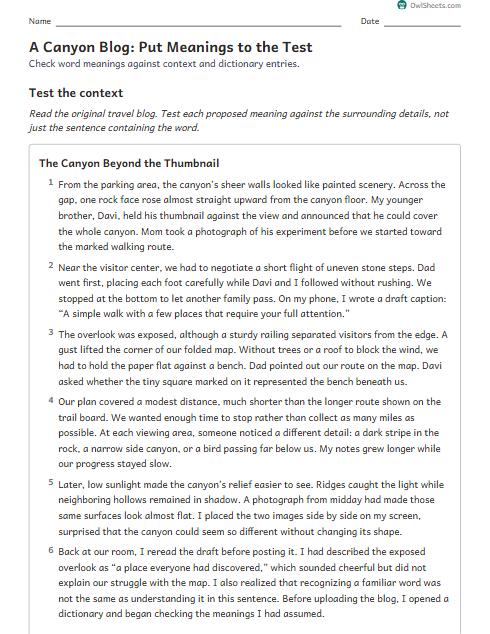 A Canyon Blog: Put Meanings to the Test worksheet preview