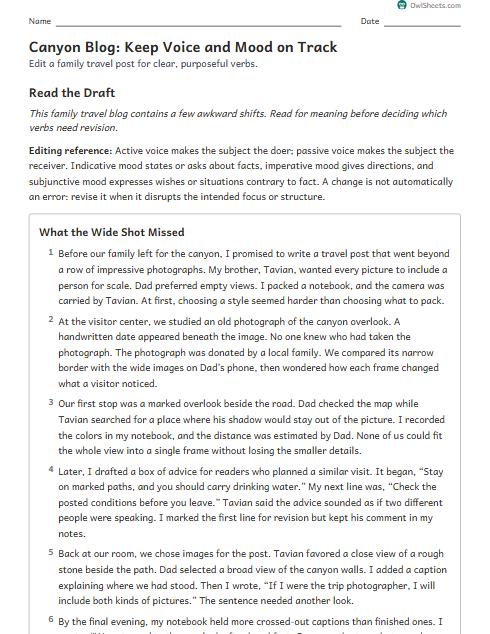 Canyon Blog: Keep Voice and Mood on Track worksheet preview
