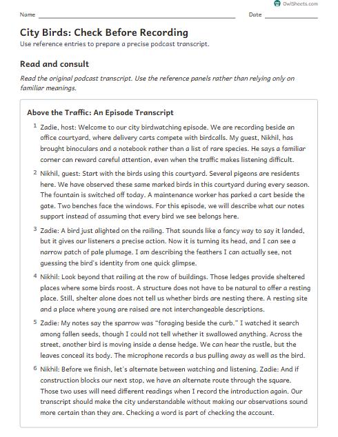 City Birds: Check Before Recording worksheet preview
