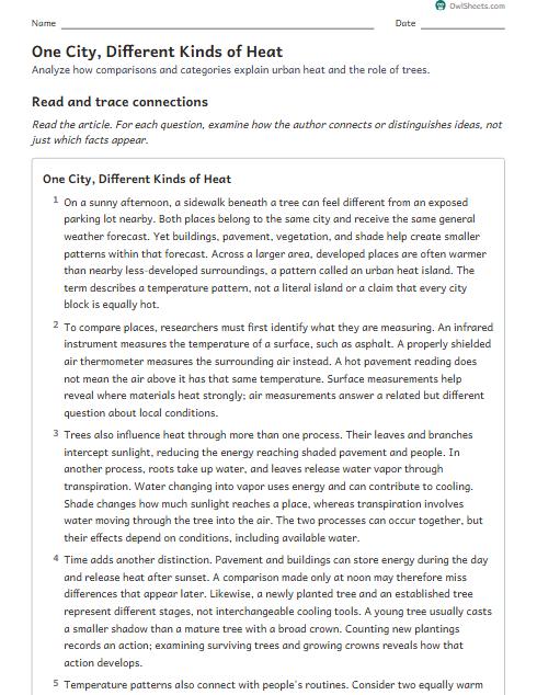 One City, Different Kinds of Heat worksheet preview