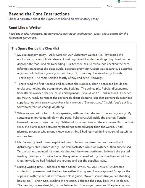 Beyond the Care Instructions worksheet preview