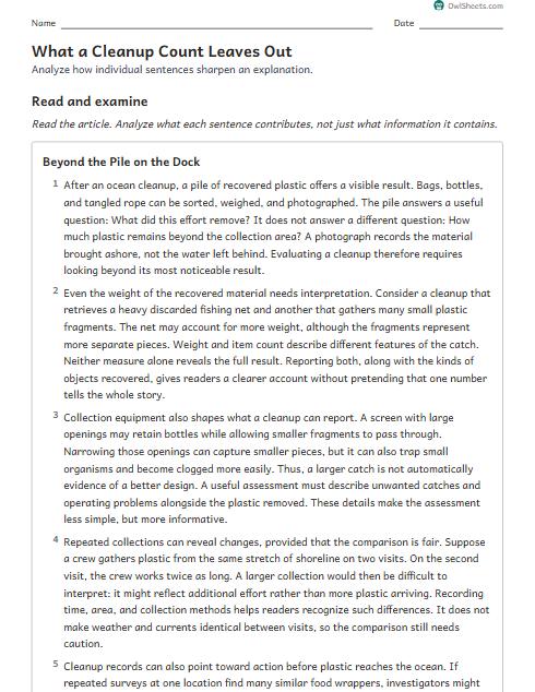 What a Cleanup Count Leaves Out worksheet preview