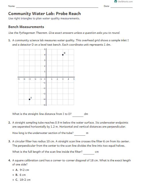 Community Water Lab: Probe Reach worksheet preview