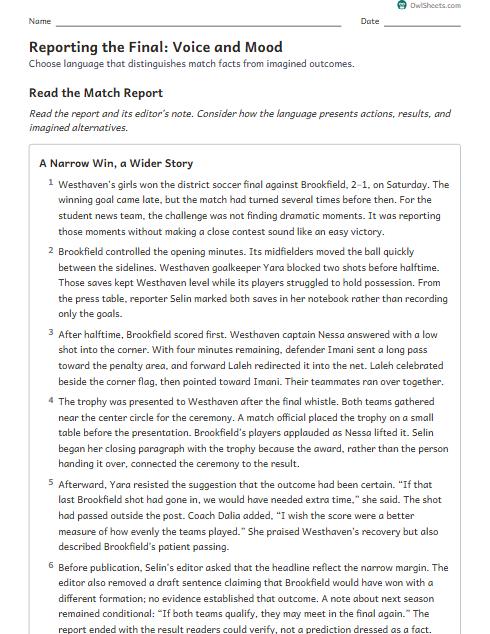 Reporting the Final: Voice and Mood worksheet preview