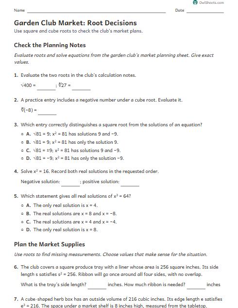 Garden Club Market: Root Decisions worksheet preview