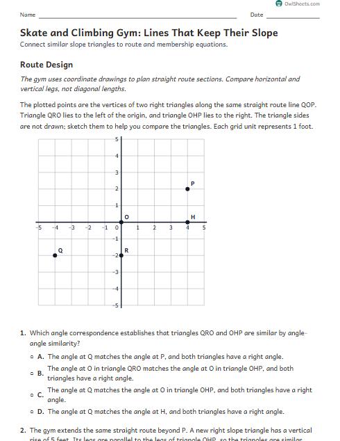 Skate and Climbing Gym: Lines That Keep Their Slope worksheet preview