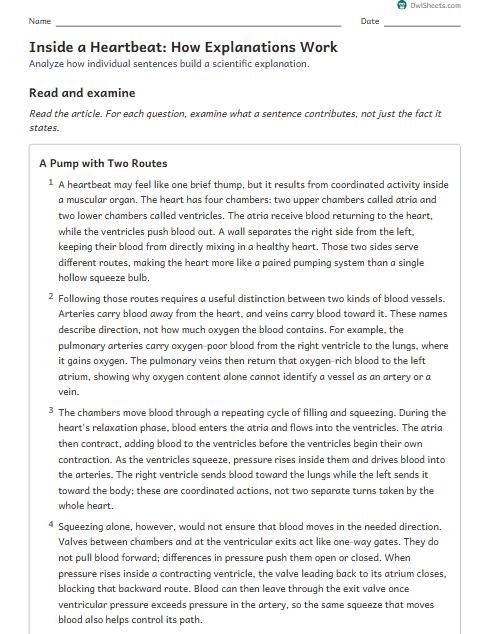 Inside a Heartbeat: How Explanations Work worksheet preview