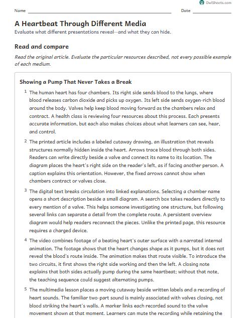 A Heartbeat Through Different Media worksheet preview