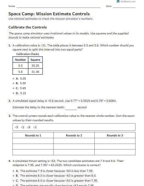 Space Camp: Mission Estimate Controls worksheet preview