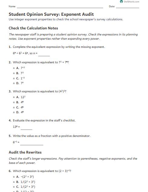 Student Opinion Survey: Exponent Audit worksheet preview