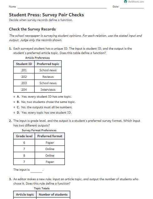 Student Press: Survey Pair Checks worksheet preview