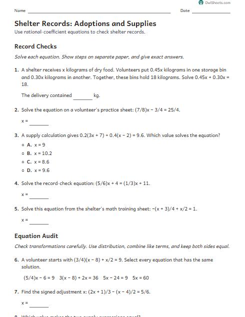 Shelter Records: Adoptions and Supplies worksheet preview