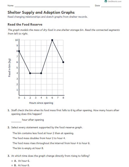 Shelter Supply and Adoption Graphs worksheet preview