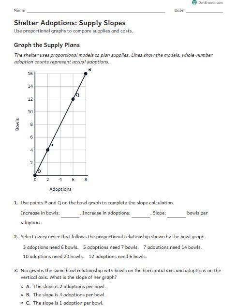 Shelter Adoptions: Supply Slopes worksheet preview