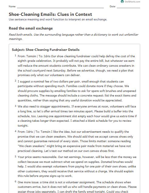 Shoe-Cleaning Emails: Clues in Context worksheet preview