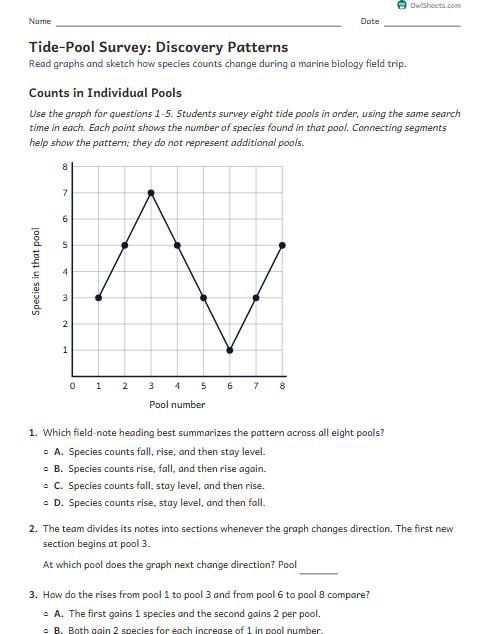 Tide-Pool Survey: Discovery Patterns worksheet preview