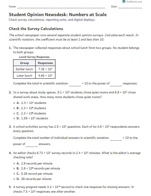 Student Opinion Newsdesk: Numbers at Scale worksheet preview