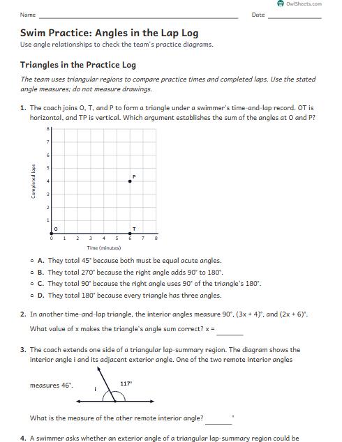 Swim Practice: Angles in the Lap Log worksheet preview