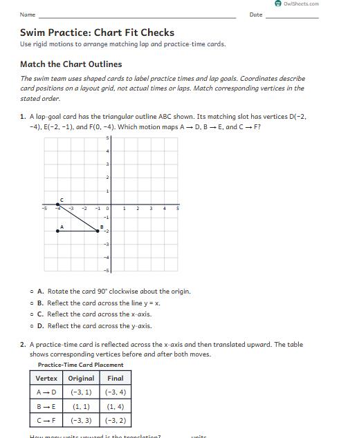 Swim Practice: Chart Fit Checks worksheet preview