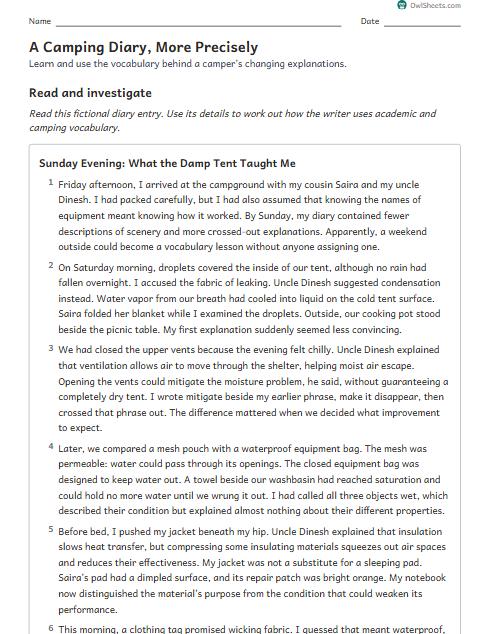 A Camping Diary, More Precisely worksheet preview