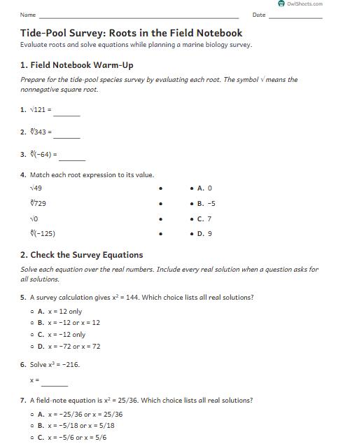 Tide-Pool Survey: Roots in the Field Notebook worksheet preview