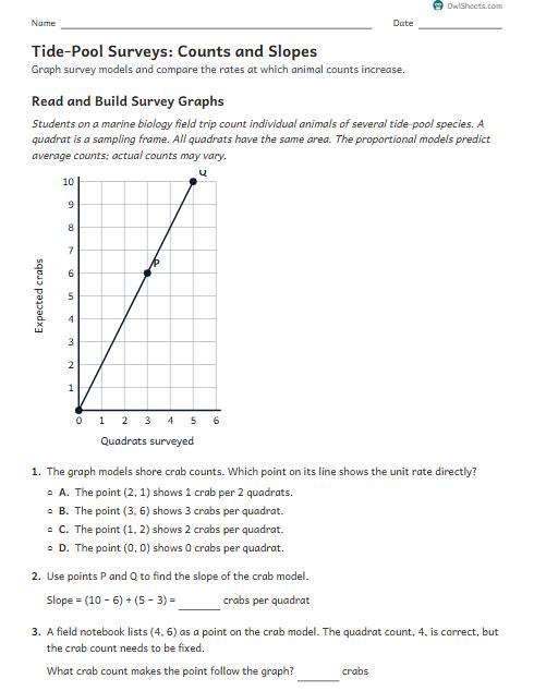 Tide-Pool Surveys: Counts and Slopes worksheet preview