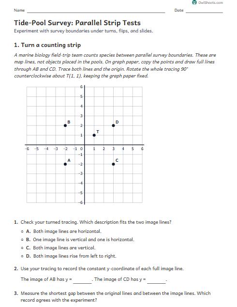 Tide-Pool Survey: Parallel Strip Tests worksheet preview