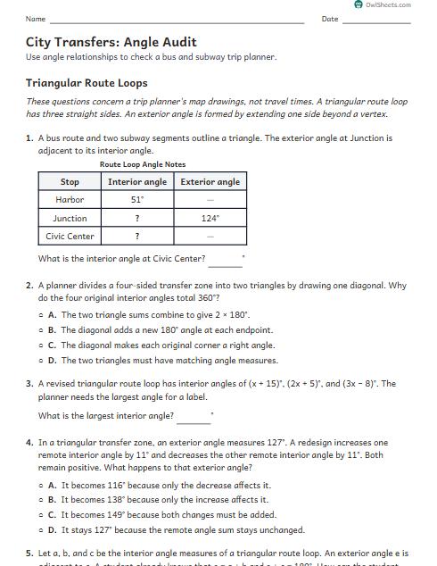 City Transfers: Angle Audit worksheet preview