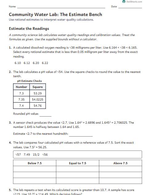 Community Water Lab: The Estimate Bench worksheet preview