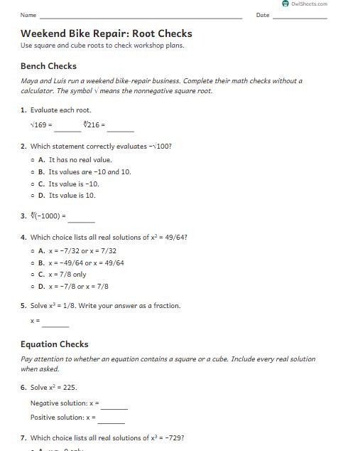 Weekend Bike Repair: Root Checks worksheet preview