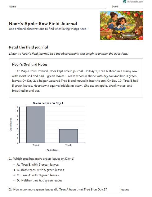Noor's Apple-Row Field Journal worksheet preview