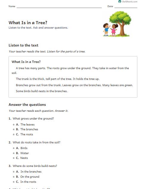 What Is in a Tree? worksheet preview