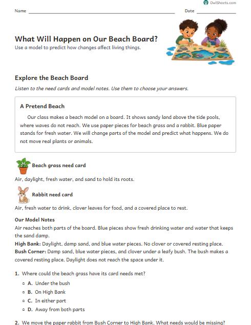 What Will Happen on Our Beach Board? worksheet preview