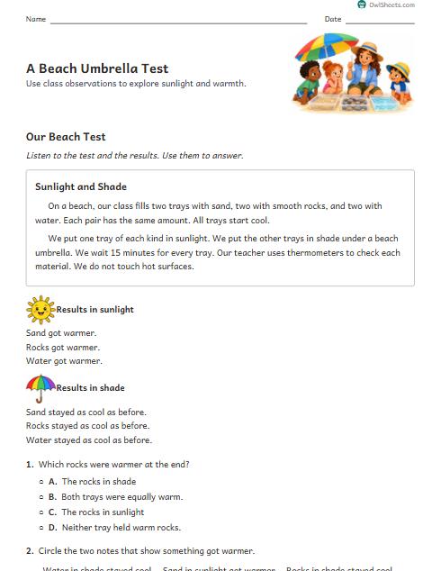 A Beach Umbrella Test worksheet preview