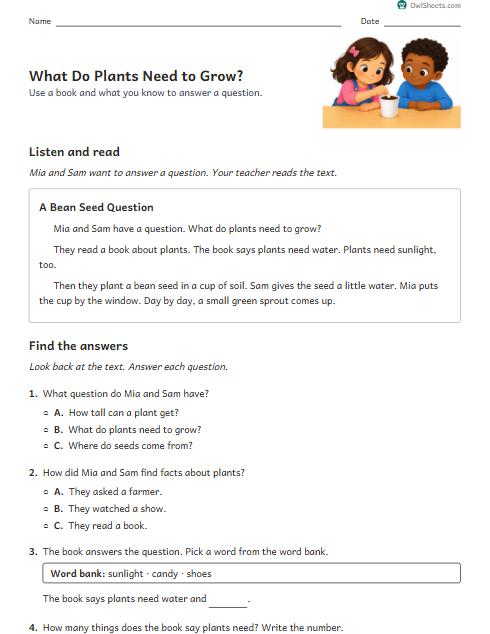 What Do Plants Need to Grow? worksheet preview