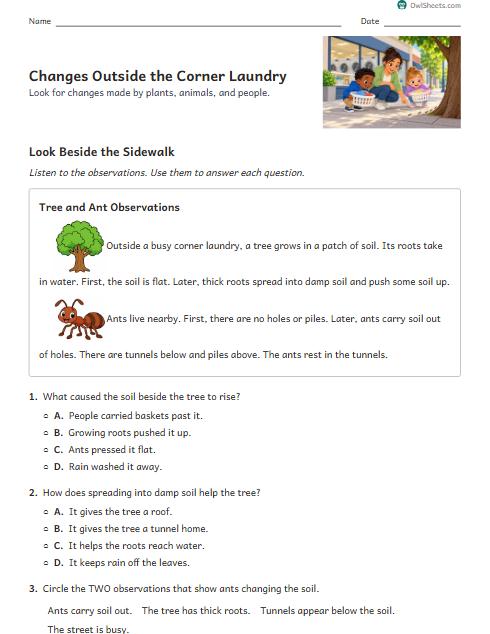Changes Outside the Corner Laundry worksheet preview
