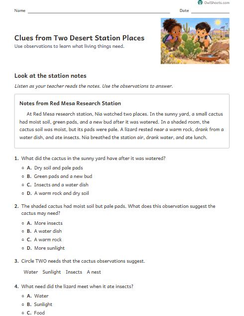 Clues from Two Desert Station Places worksheet preview