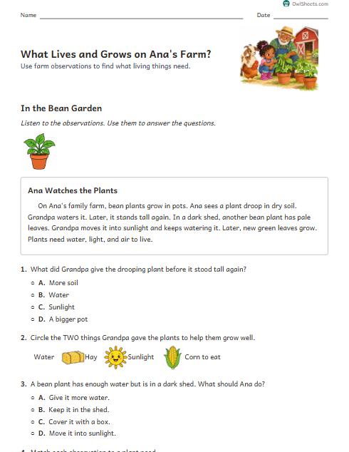 What Lives and Grows on Ana's Farm? worksheet preview