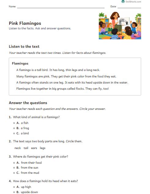 Pink Flamingos worksheet preview