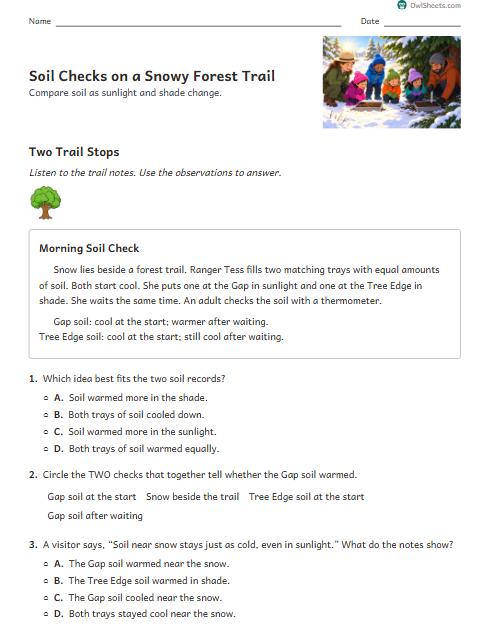 Soil Checks on a Snowy Forest Trail worksheet preview