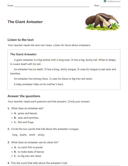 The Giant Anteater worksheet preview