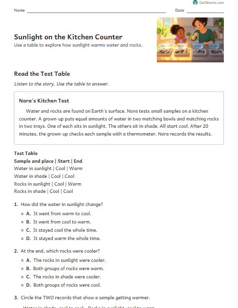 Sunlight on the Kitchen Counter worksheet preview