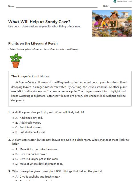 What Will Help at Sandy Cove? worksheet preview